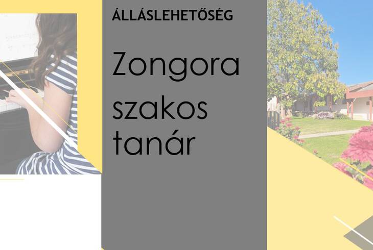 Zongora szakos tanr llsplyzat